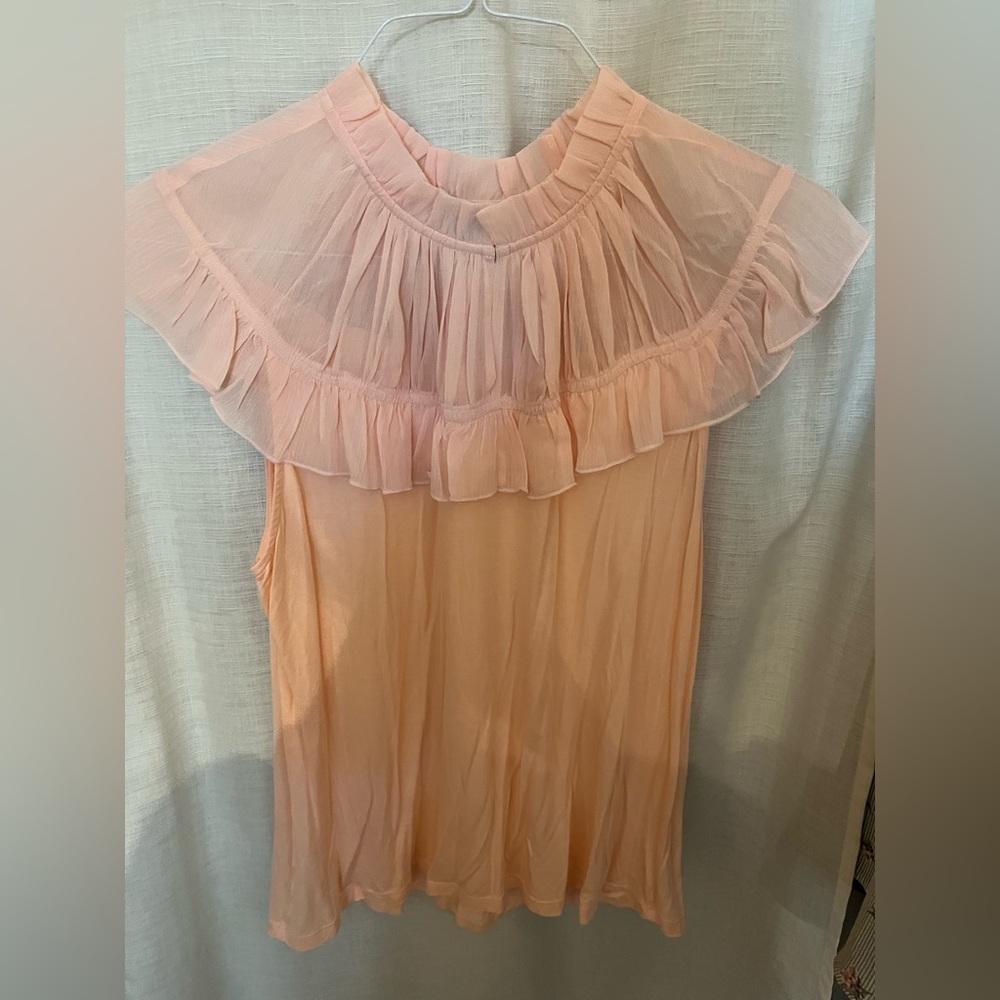 Sheer Ruffled Peach Blouse